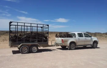 Qué pick-ups permiten la instalación de bola de remolque